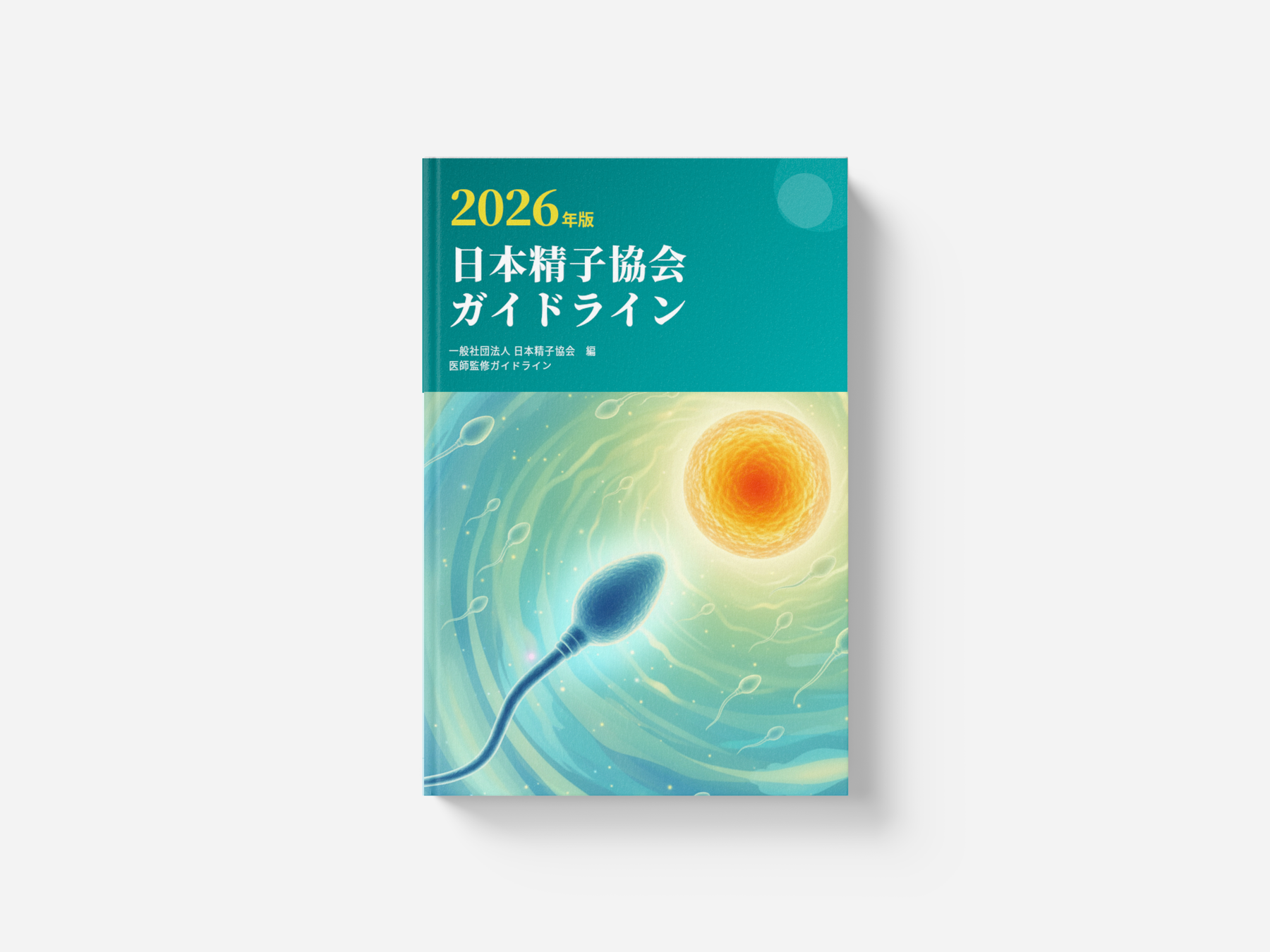 ガイドライン
